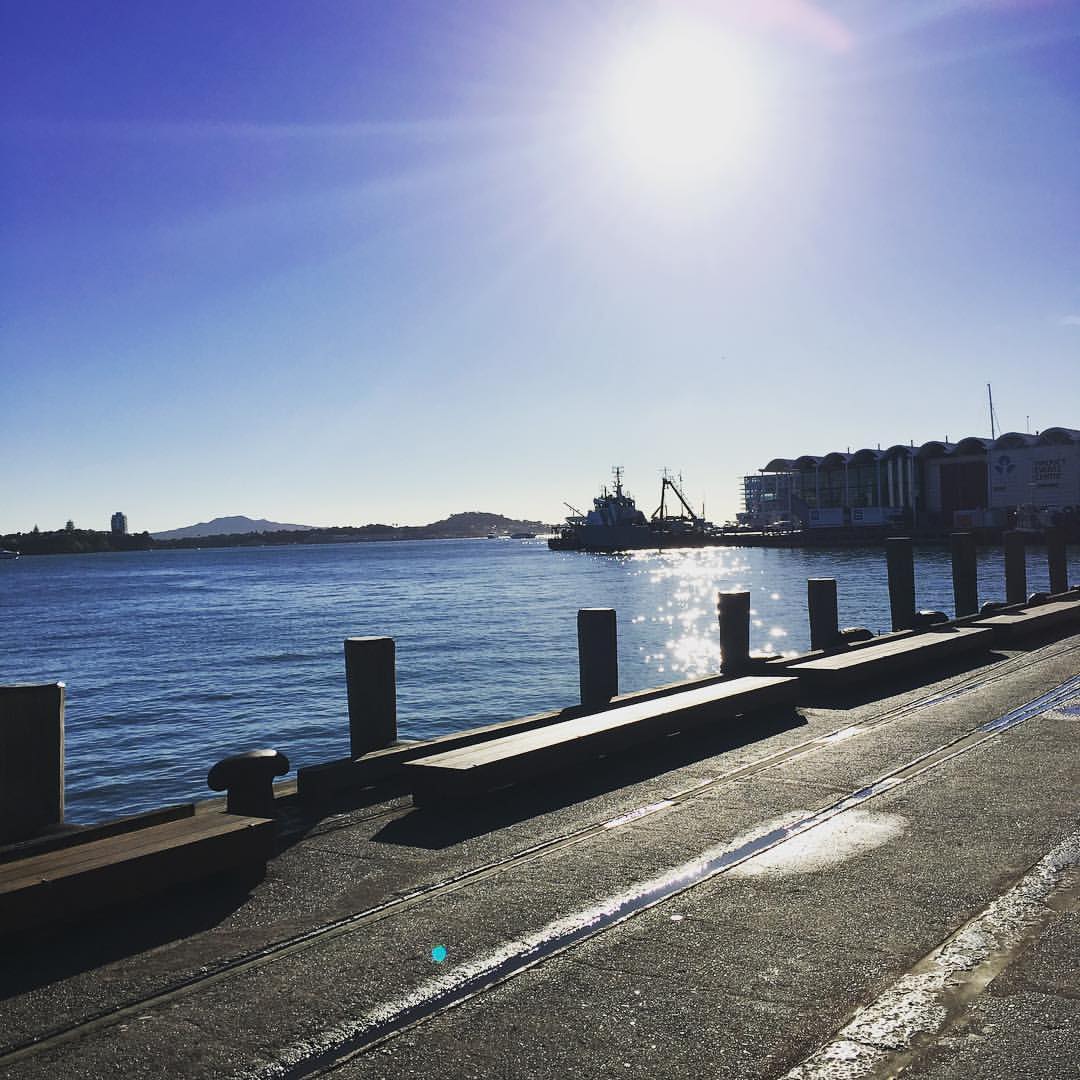 After so much rain, #grateful for some sun!