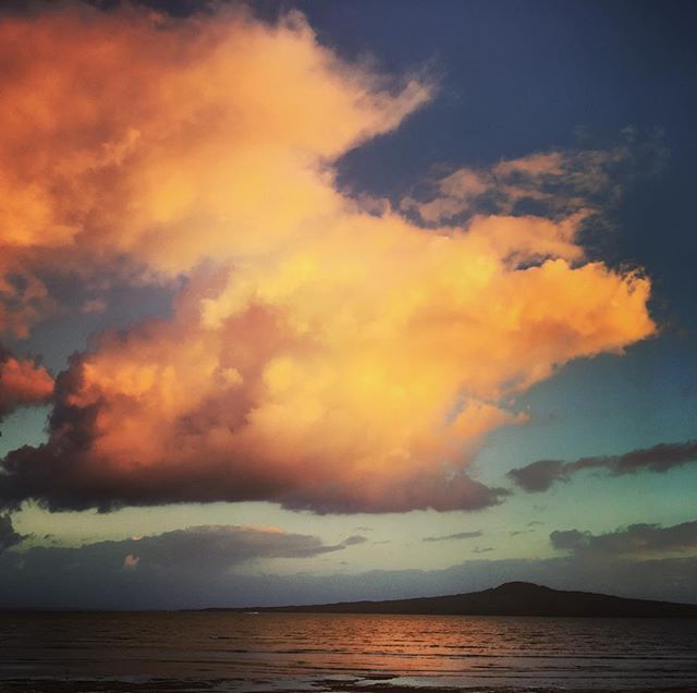 Something about shepherds not like a pink sky in the morning...I'm just #grateful for the drop in humidity!