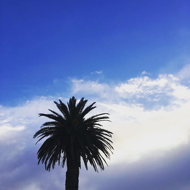 Not tropical, but still #grateful