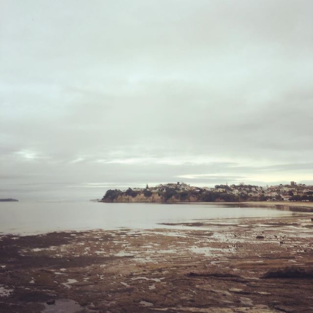 #grateful for the calm before the storm.