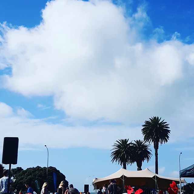 Pretty perfect caroling weather #christmasinnz #grateful