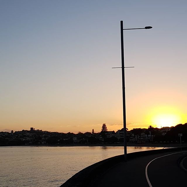 #grateful for some peace and quiet to appreciate the sunrise. Just me, the birds, and a couple hundred people jogging past!