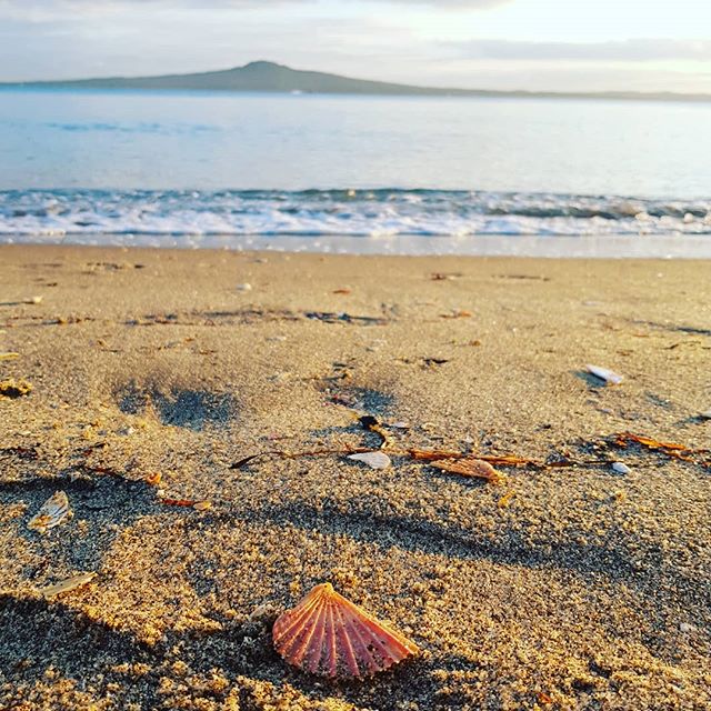 Beautiful morning down on the beach. Plenty to be #grateful for! #jb