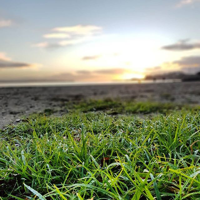 Hard to get going some mornings, but #grateful for when I do