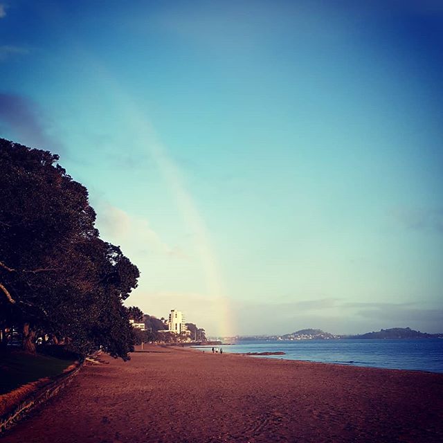 #grateful for my safe travels last week, and a beautiful morning back home