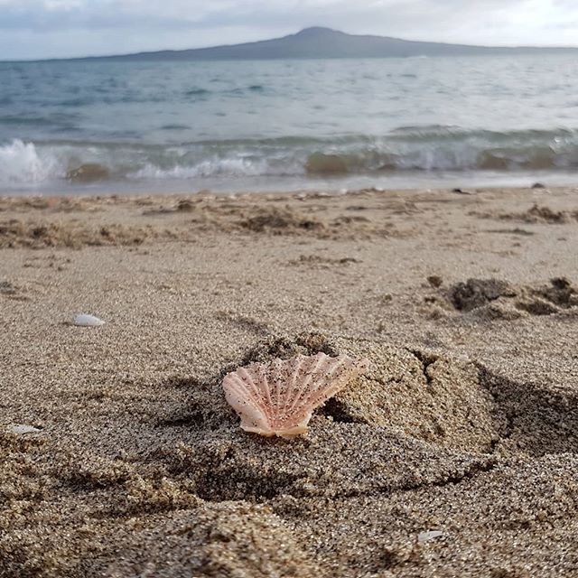 #grateful that Spring has sprung...so Summer is on its way. 👍