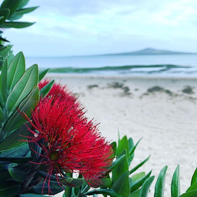 End of the year approaches, and even amidst the pre-Christmas craziness, still plenty to pause and be #grateful for.