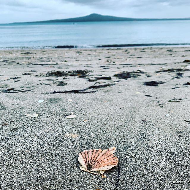 Back at work for 2020 but still plenty of summer left ahead! #grateful