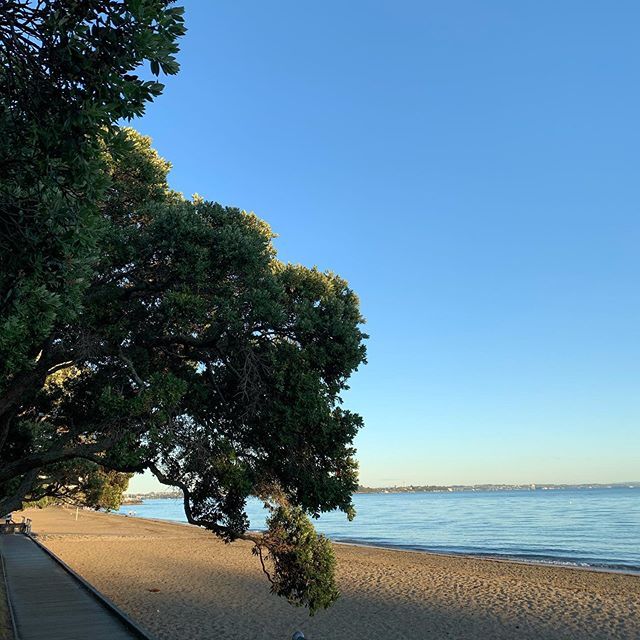 Morning light. #grateful