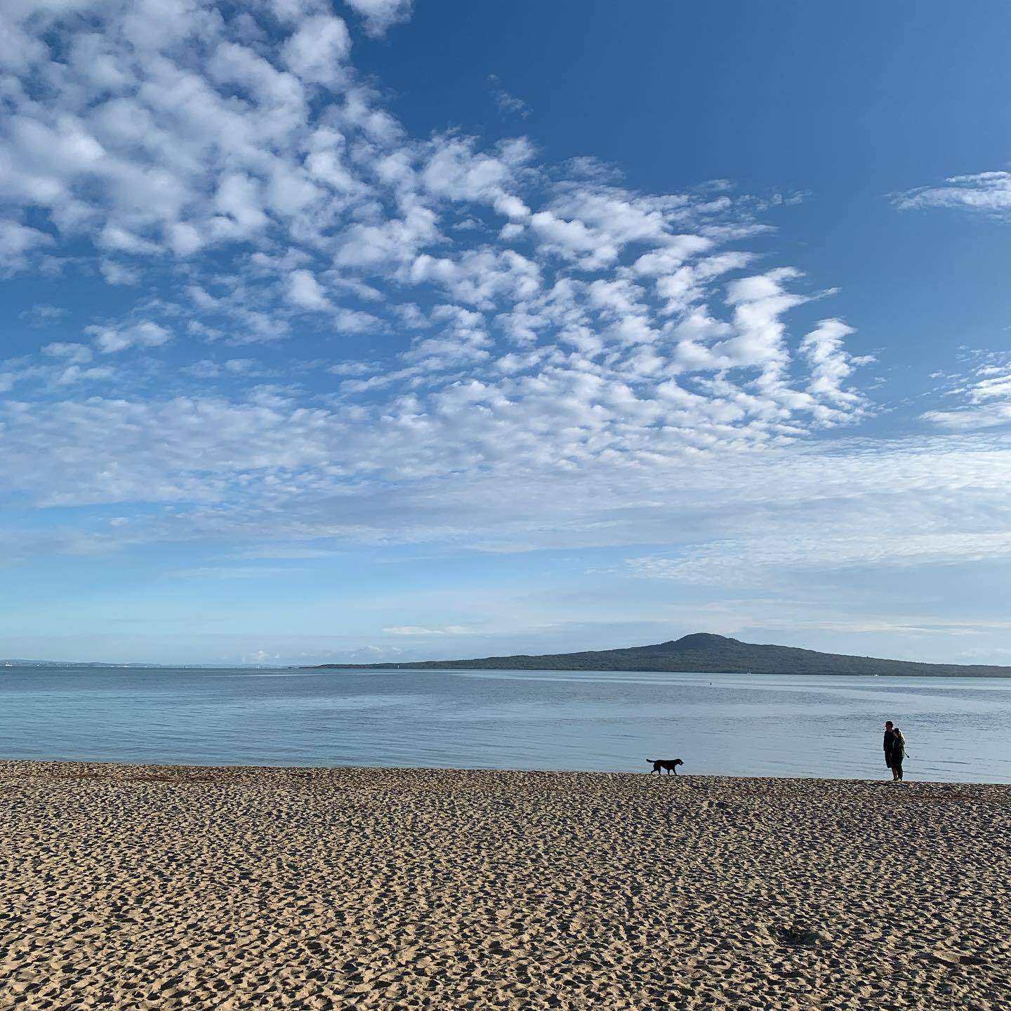 Sun is up. Looks like all that daylight we’ve been saving up is going to good use. #grateful