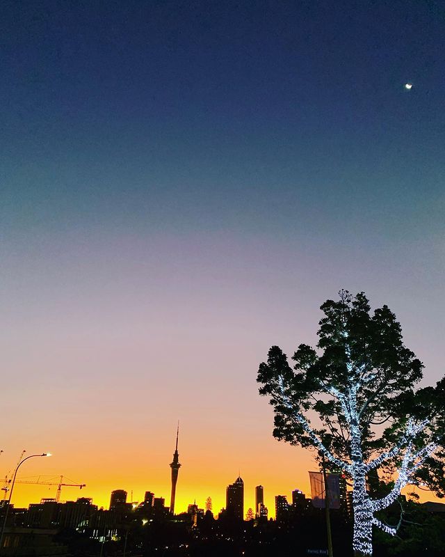 Happy Christmas, Auckland!